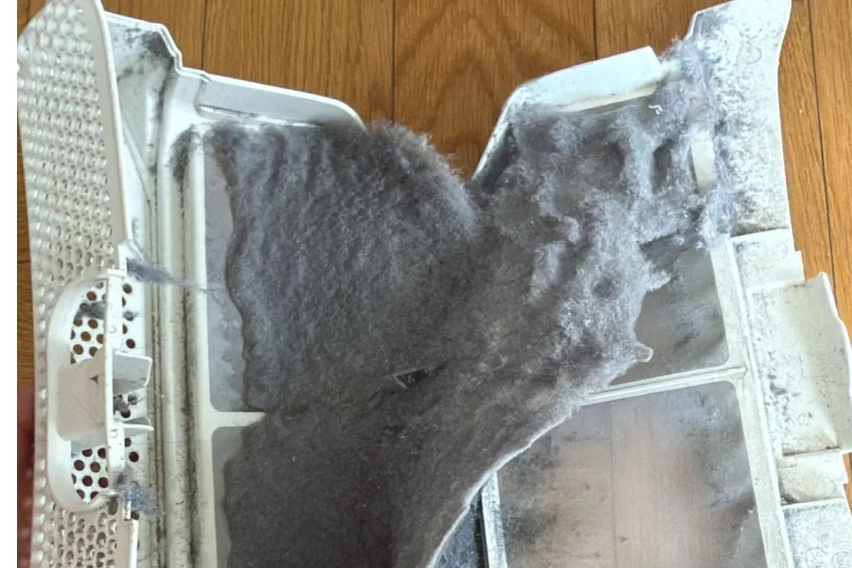 Dryer lint filter completely packed with thick grey lint buildup before Airbnb cleaning service