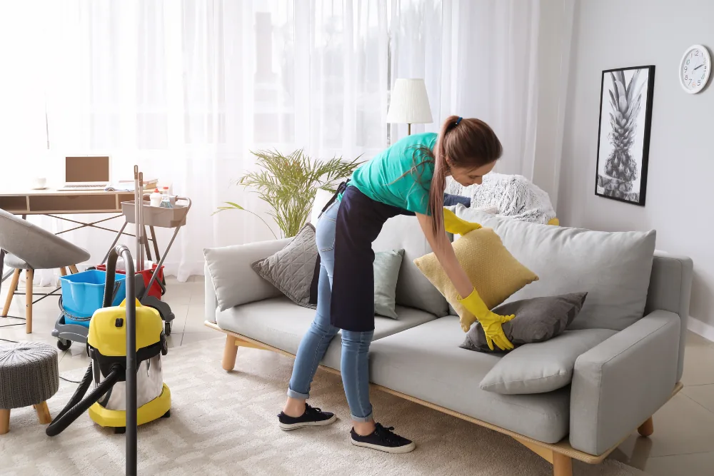 Cleaning Chief professional performing armchair and dining chair cleaning in NYC