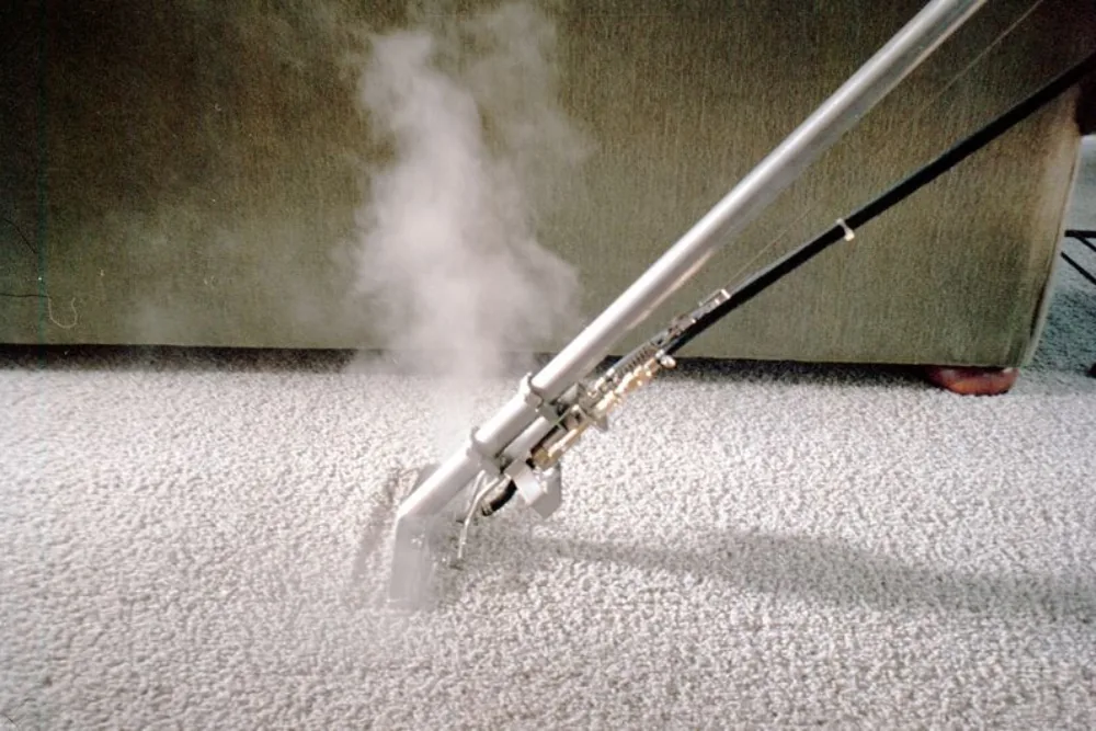 Cleaning Chief professional performing carpet and floor machine cleaning in NYC