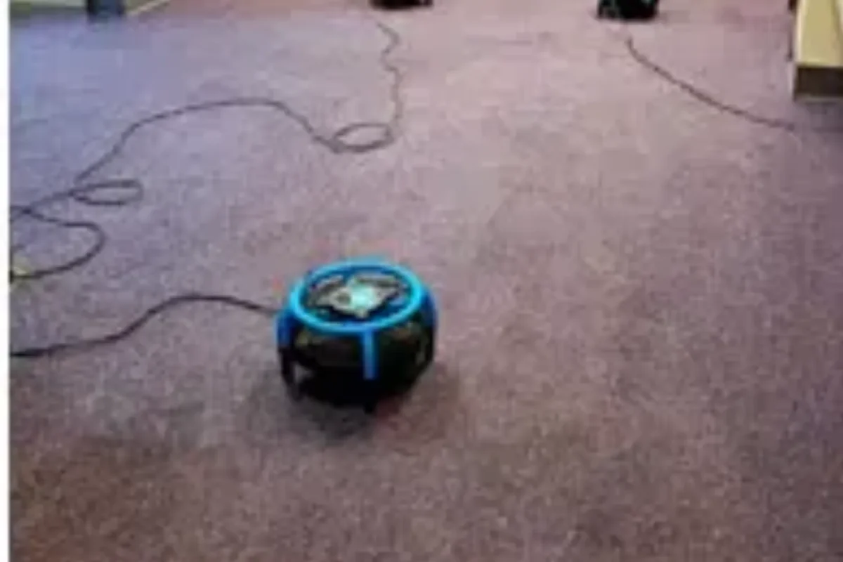 Floors: Frequency Over Intensity
