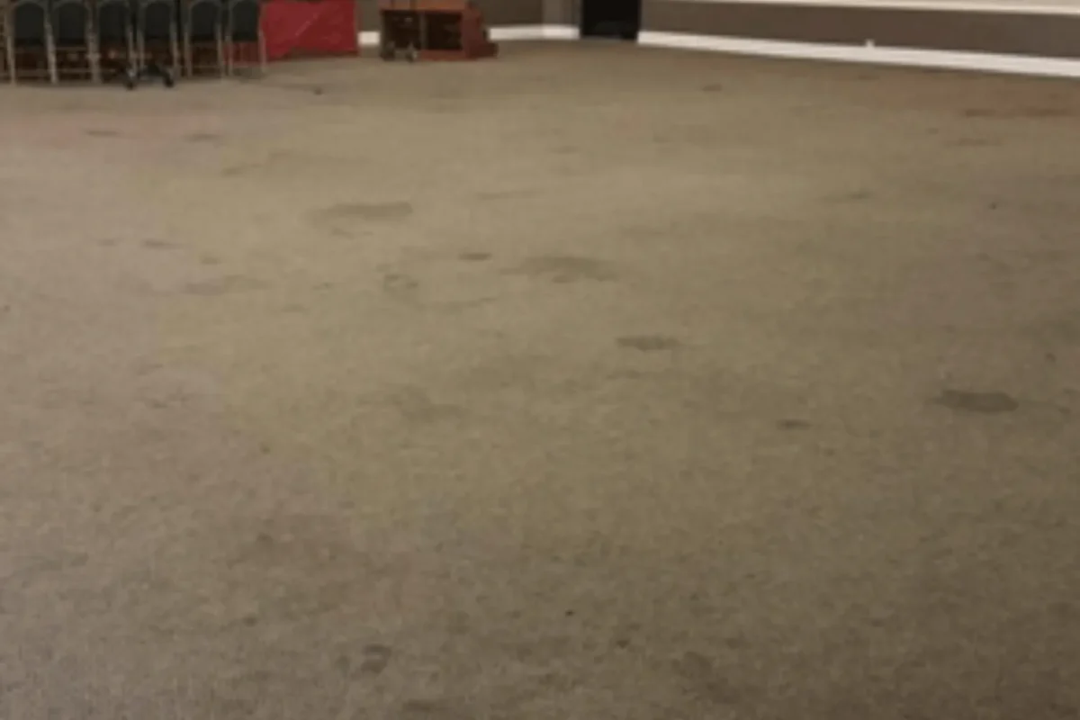 Large commercial event hall carpet with multiple scattered dark stains across the surface before professional cleaning