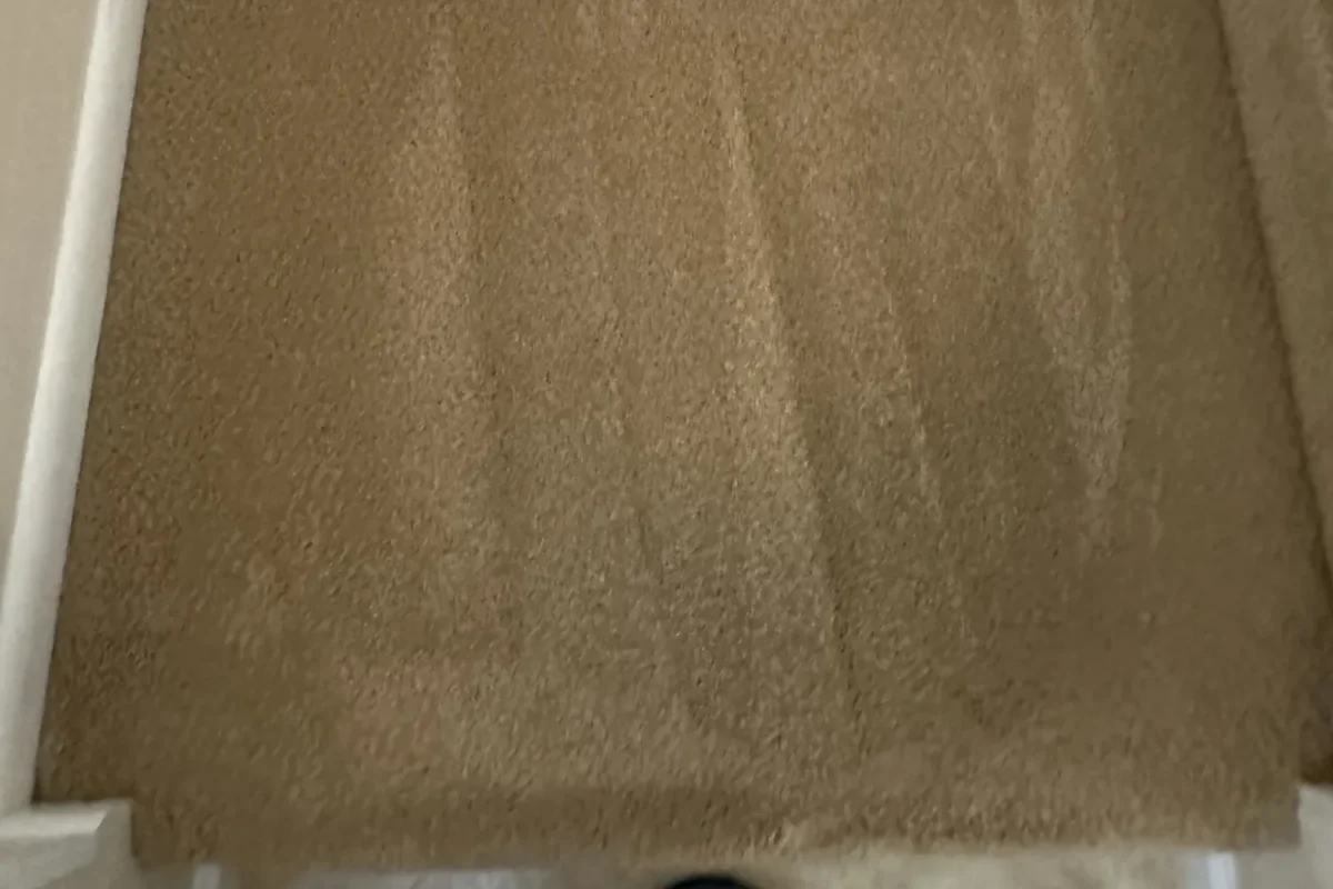 Staircase carpet fully restored to uniform beige with stain completely removed after carpet cleaning in NYC