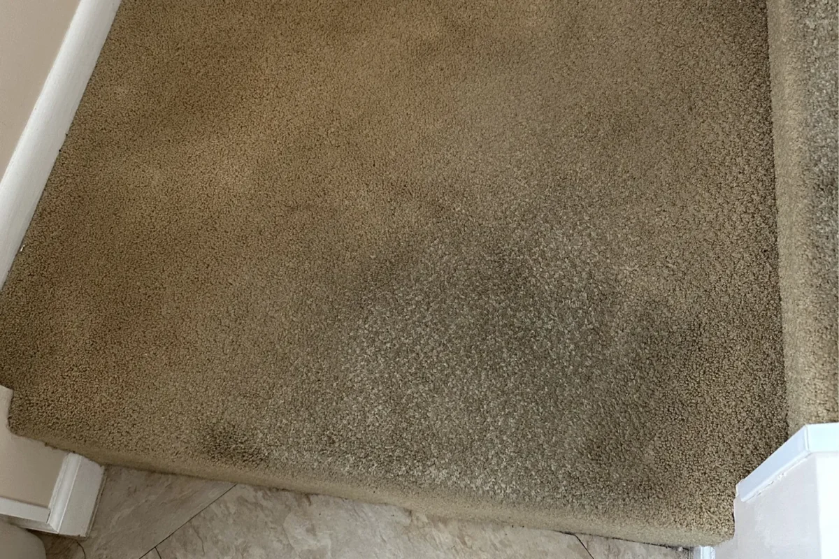 Beige staircase carpet with large dark stain on a tread before professional carpet cleaning in NYC
