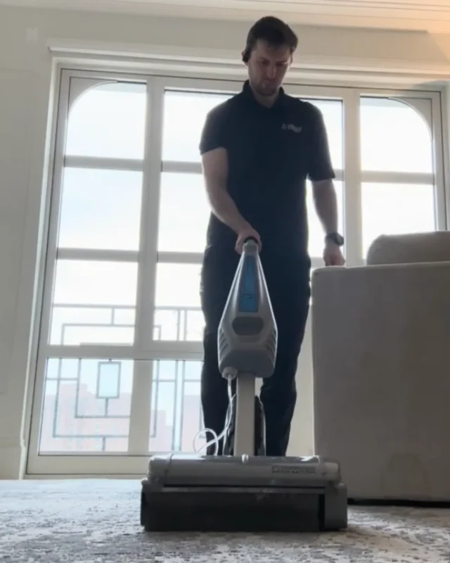 Cleaning Chief cleaner using rotary cleaning machine on light-colored carpet in NYC living room