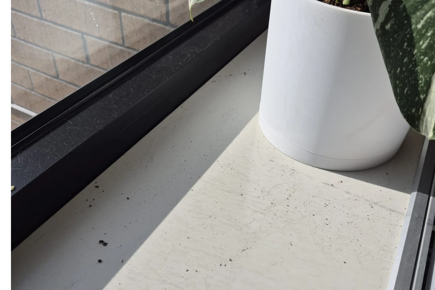 Dirty NYC apartment window sill with dust and debris before Cleaning Chief VIP service