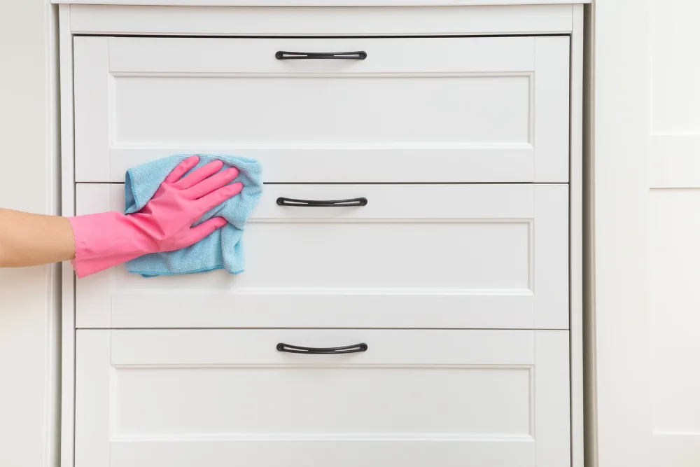 Cleaning Chief professional performing closets and storage in NYC