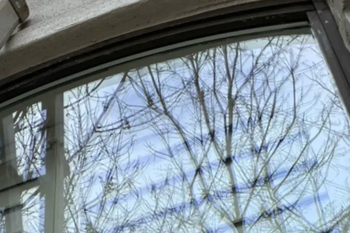 Curved bay or bow window clean and completely clear with tree branches and sky reflected in glass after cleaning
