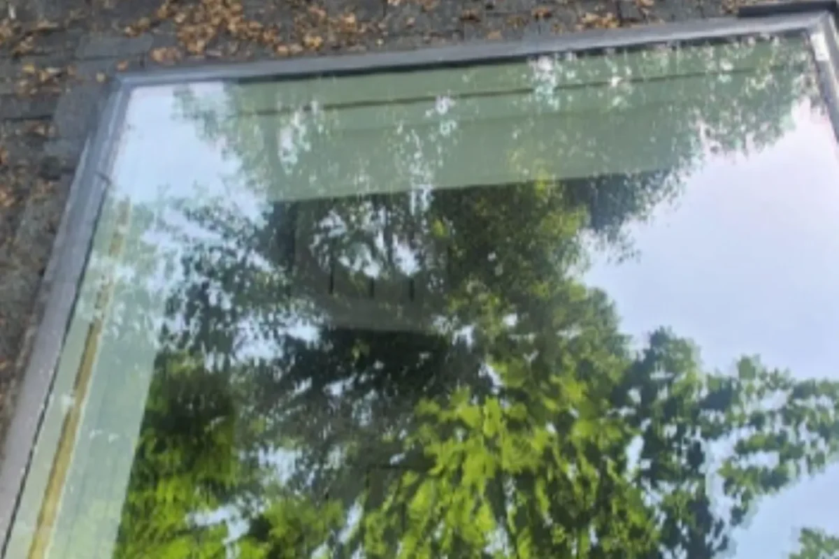 Same exterior flat glass panel now clean showing green tree and blue sky reflections after commercial window cleaning
