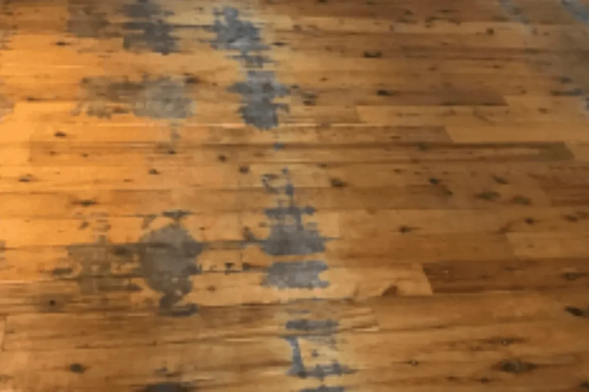 Hardwood floor with large dark ink or water stains covering multiple boards before commercial floor care treatment