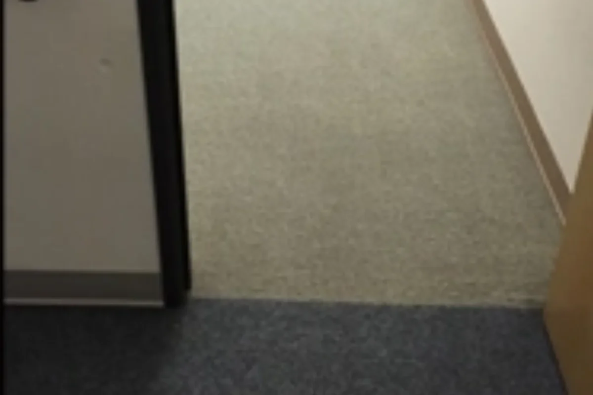 Office doorway carpet fully clean with stain removed and fiber restored after Cleaning Chief janitorial service