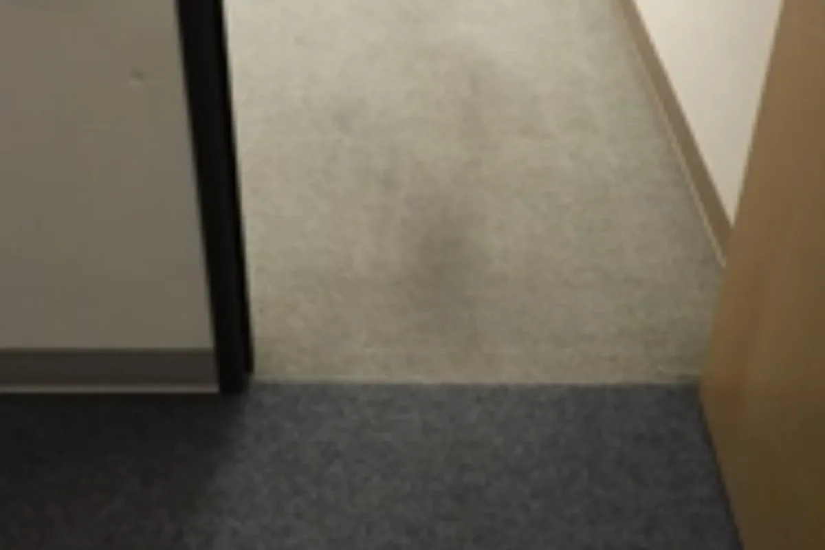 Office doorway carpet with large dark stain and heavy foot-traffic wear before janitorial cleaning in NYC