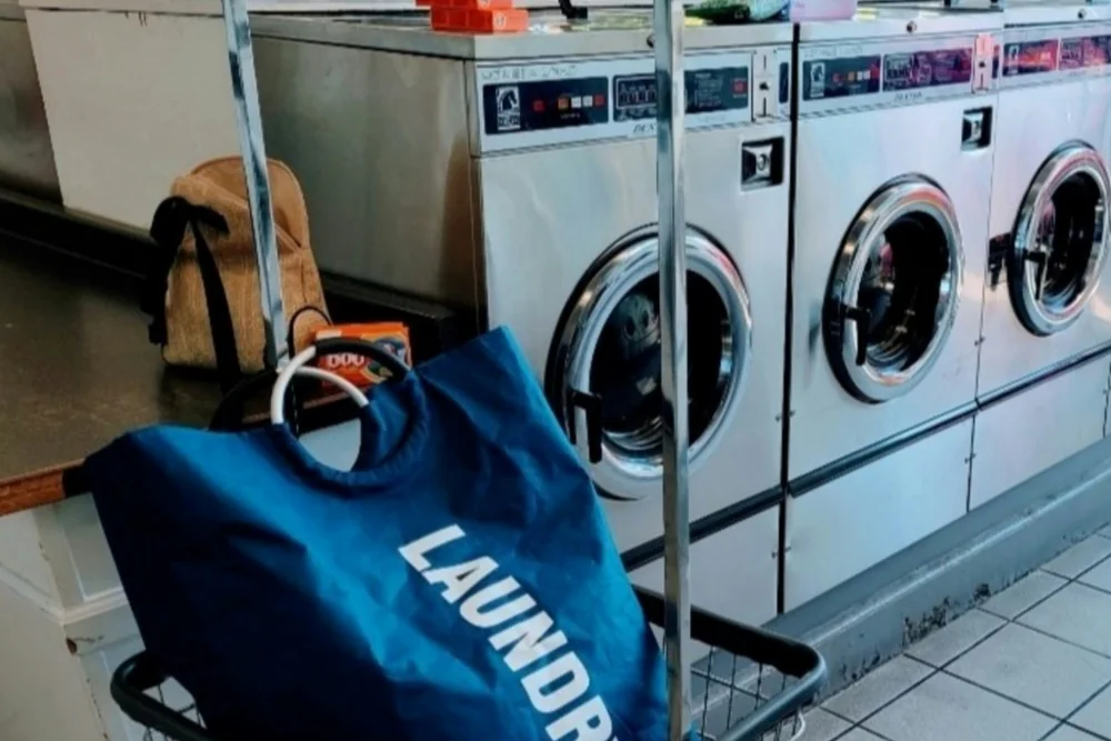 Cleaning Chief professional performing light laundry & folding in NYC