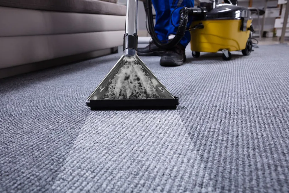 Cleaning Chief professional performing low-moisture encapsulation in NYC