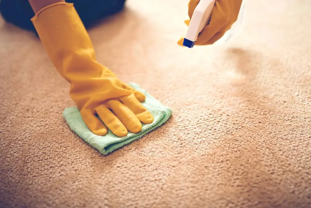 Cleaning Chief professional performing odor control and deodorization in NYC