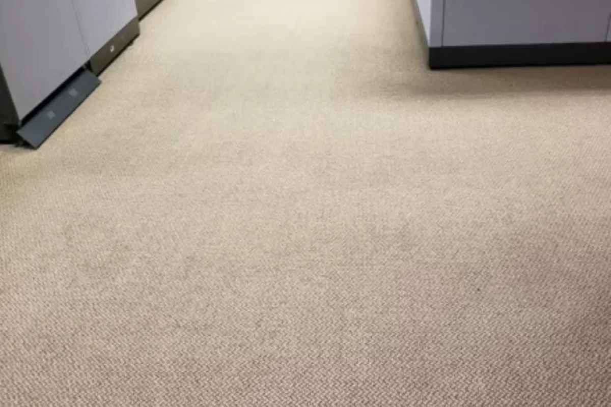 Same beige loop-pile commercial office carpet fully cleaned with all stains removed after office cleaning in NYC
