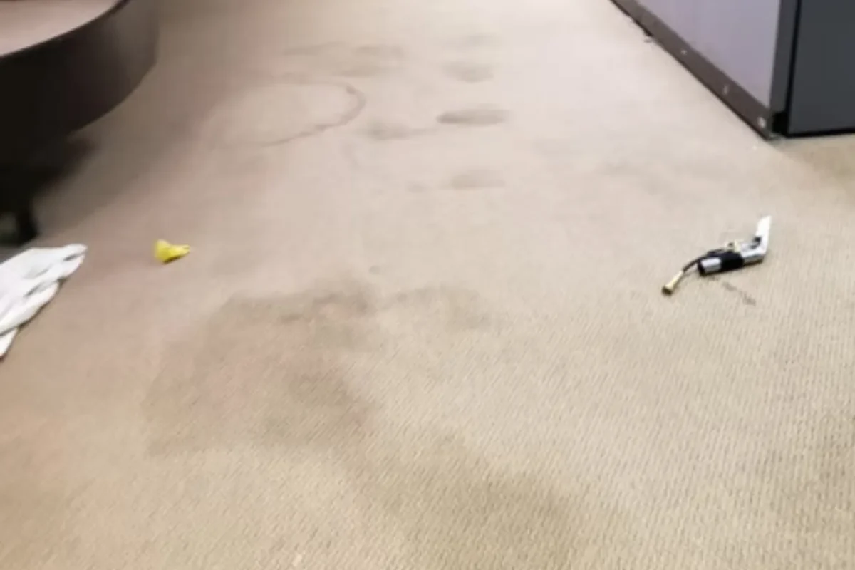 Beige commercial office carpet with dark liquid stains and scattered trash before professional office cleaning in NYC