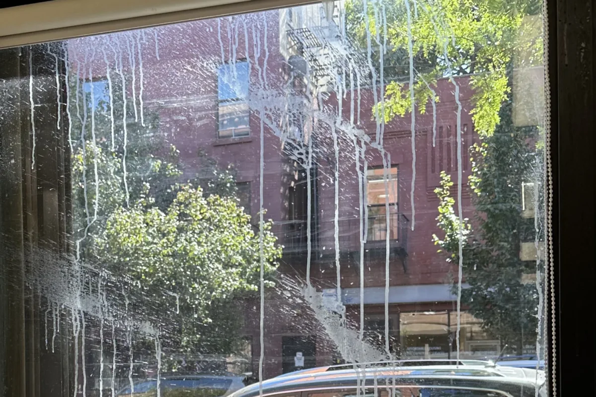 NYC apartment window with heavy water streaks and drip stains obscuring the street view before cleaning